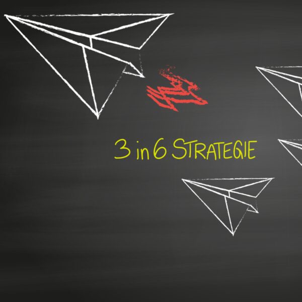 3in6 Strategiebegleitung