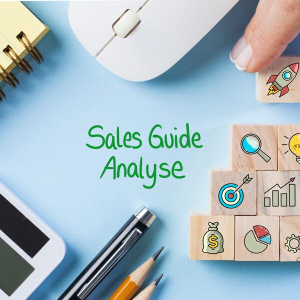 Sales Guide Analyse