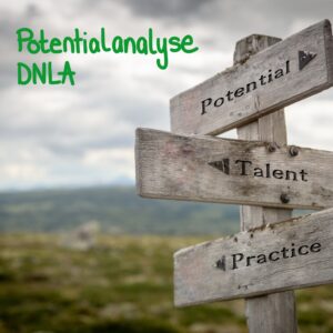 Potenzialanalyse - DNLA