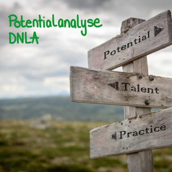 Potenzialanalyse - DNLA